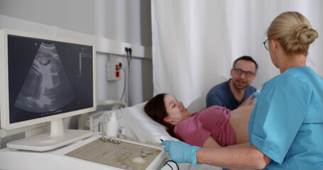 Obraz premium Expecting happy couple visiting doctor for ultrasound test.