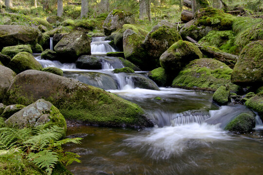 waterfall in the forest / Hamersky creek, National park Sumava, Czech Republic