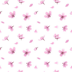 Cherry blossom flowers and petals vector seamless pattern. Pink blooming flowers and petals on white background. Gentle spring floral seamless pattern.