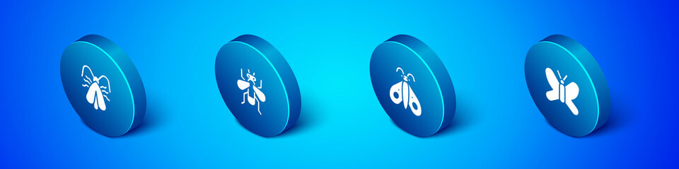 Set Isometric Clothes moth, Butterfly, and Insect icon. Vector.