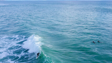Aerial drone view of surfers riding perfect Atlantic waves in the south coast of Spain, Caños de...