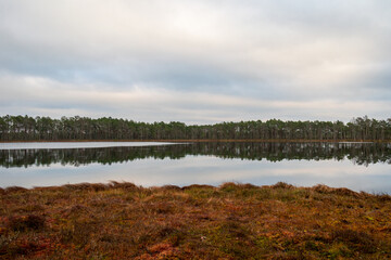 The Girupe lake in the nature trail of the Blind swamp in Latvia during gloomy and cloudy winter day