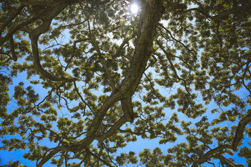 Waiahole Beach Park, Kualoa Kaneohe Bay Oahu island Hawaii | Sea Nature Ocean Landscape Travel Photography

