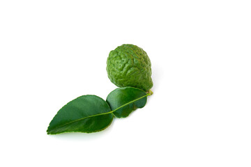 Citrus hystrix on white background.
