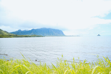 Waiahole Beach Park, Kualoa Kaneohe Bay Oahu island Hawaii | Sea Nature Ocean Landscape Travel Photography


