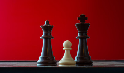 small pawn on chess board against larger adversary concept of adversity ,discimination ,equality .