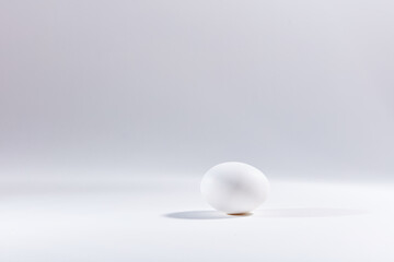 white egg on white