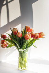 Sunny Spring Still Life, Beautiful Red and Yellow Tulips in Vase