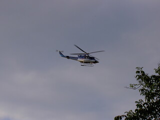Fototapeta na wymiar Police helicopter flying in the blue sky during the day, tree branches on the edges, close-up view