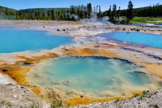 Hot spring thermal pool in the upper geyser basin Yellowstone National Park, Wyoming, United States