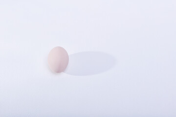 egg on a white background