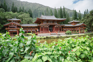 Tree at Tantalus Lookout Puu Ualakaa State Park Honolulu Oahu Hawaii 