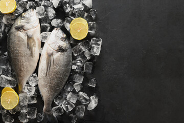 Dorado fish with ice cube on black background.