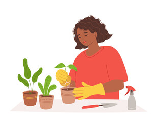 A black young woman in gardening gloves is planting a seedling in a pot. Plant care, home gardening, hobbies. Isolated on white vector illustration