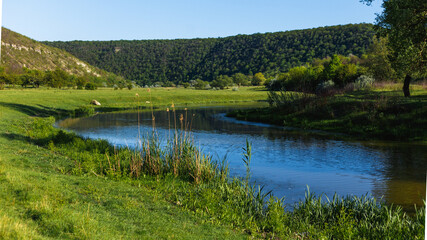 Obraz na płótnie Canvas River and the field on a sunny summer day.