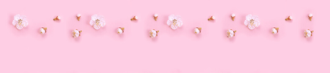 Fototapeta na wymiar Panorama spring nature background with white flowers on a pink background