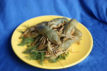 live crayfish. green crayfish on a plate