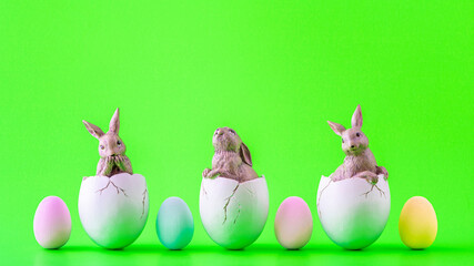 Drei Hasen in Eierschalen und vier bunte Ostereier vor einem grünen Hintergrund