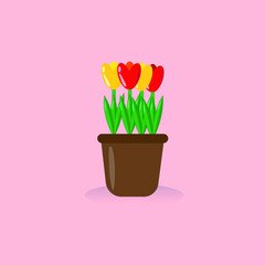 Yellow and red tulips in a brown pot and pink background. Vector illustration.