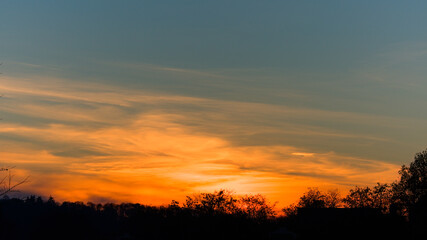 Lever de soleil avec des arbres à contre jour