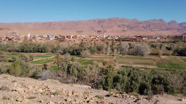 The Todgha palm grove, in southern Morocco