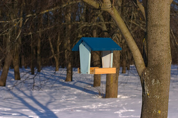 bright feeder on a tree trunk in a winter park