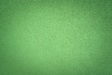 Decorative green texture of plaster on the wall