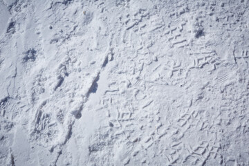 foot prints on snow texture