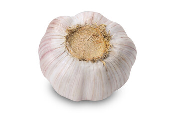 fresh garlic isolated on white background closeup