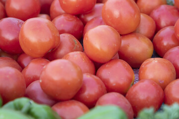la tomate rouge naturelle