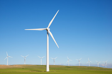 Fototapeta premium Renewable energy concept