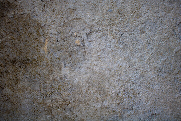 Pictures of old concrete walls. Can be used as background or texture.