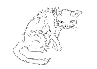 black and white illustration of a grumpy looking cat
