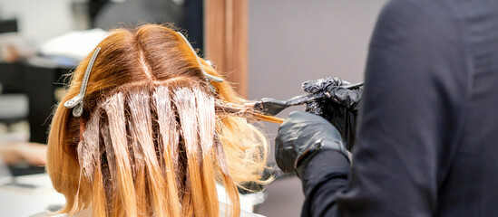 Female hairdresser dyeing hair of young caucasian woman in hair salon