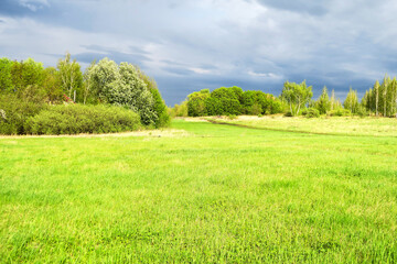 Flat green grass, lawn against a large blue sky on a Sunny day. Wide view of the countryside. Natural background of green grass, fresh juicy shot.