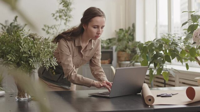 Medium long of young Caucasian woman wearing light-brown dress, standing behind counter in flower shop, leaning over, typing on laptop, checking decorative greens in vase