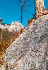 Beautiful alpine autumn or indian summer view at the famous Hintersee, Ramsau, Berchtesgaden, Bavaria, Germany