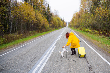 A red-haired woman in a yellow coat holds a yellow suitcase and walks her dog jack russell terrier along the track along the forest in autumn.