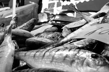 Obraz na płótnie Canvas Fishing details in Sicily, black and white