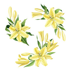 Watercolor clipart set with yellow lilies floral compositions. Graceful bouquets isolated on white background. Clipart for greeting cards, wedding invitations, birthday cards, stationery.