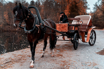 Naklejka na ściany i meble Retro background of chestnut horse in carriage near beautiful lake and autumn forest.