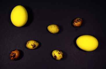 Chicken and quail eggs on a black background. Painted eggs in yellow and brown for the Easter holiday