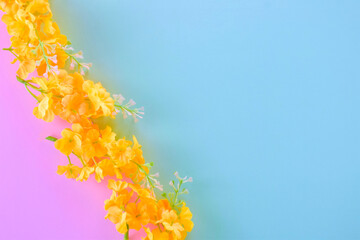 Small yellow flowers on bicolor background, space for text or idea. Zenith view.