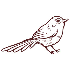 Bird line drawing. Line art vector illustration. This illustration design is suitable for cutting work, coloring book, or as a decoration for design work.