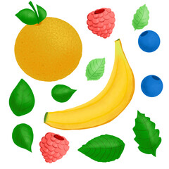 Fruits, berries and leaves clipart set
