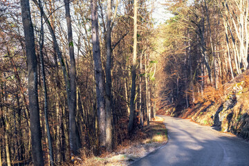 winter photos in kipfenberg bavaria