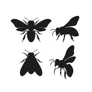 Honeybee silhouettes clipart collection. Bee black shape vector illustration set isolated on white background. Detailed decorative beekeeping logotype design elements.
