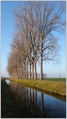 Canal (Valleikanaal) in Wageningen in the Netherlands