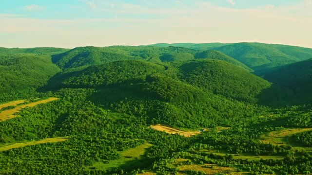 bright summer nature drone fly above mountain landscape with green forest yellow field