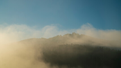 Germany, Magical view of black forest schwarzwald mountains covered with trees in foggy atmosphere